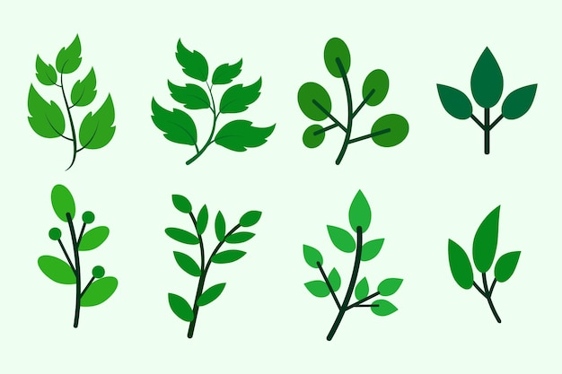 Eine Reihe von verschiedenen Blättern Illustration Design