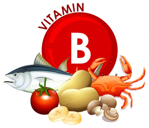 Vektor eine reihe von vitamin b essen
