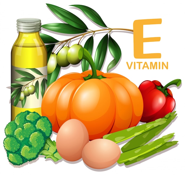 Vektor eine reihe von vitamin e essen