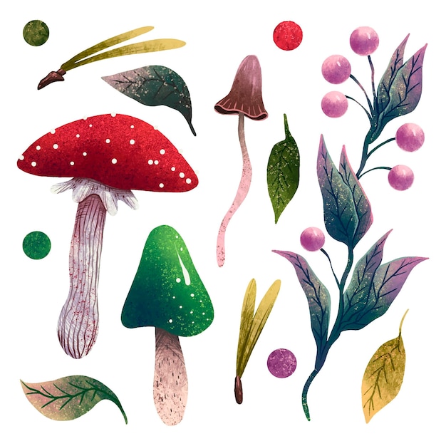 Eine Reihe von Waldillustrationen Pilzen Fliegenpilz grüne Pilze giftige Pilze Nadeln Blätter Beeren Zweig mit Beeren