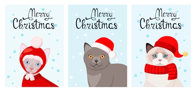 Eine reihe von weihnachtskarten mit lustigen katzen. haustiere. cartoon-design.