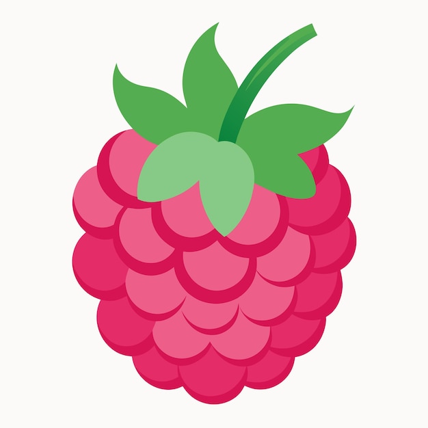 eine rote Himbeer-Vektorillustration