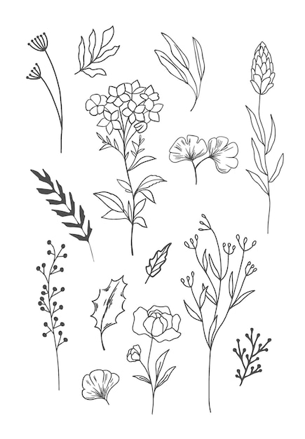 eine Sammlung verschiedener Blumen und Pflanzen schwarz und