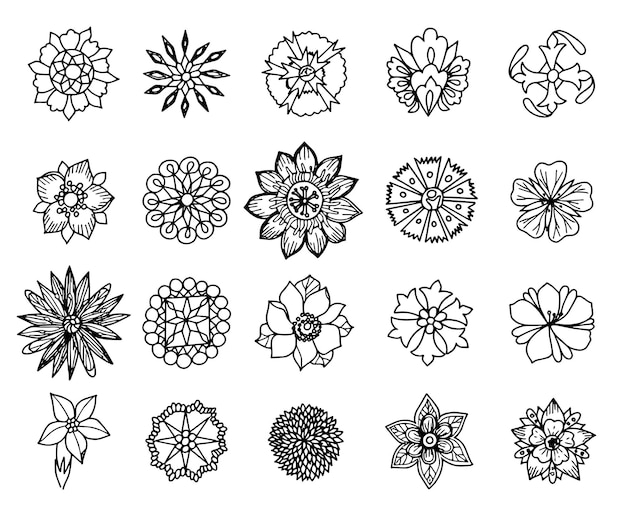 eine Sammlung von Blumen und ein weißer Hintergrund mit einem schwarz-weißen Design
