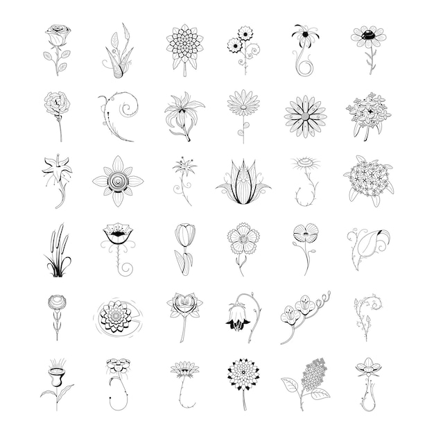 eine Sammlung von schwarz-weißen Illustrationen mit den Wörtern Blumen