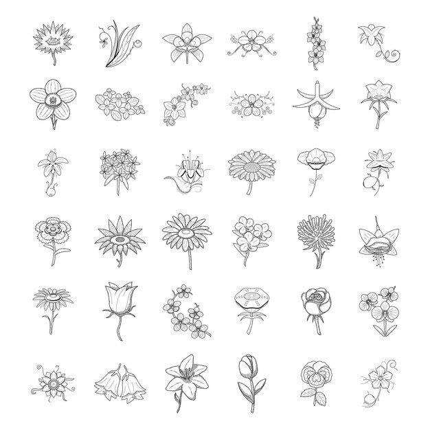 eine Sammlung von schwarz-weißen Illustrationen mit den Wörtern Blumen