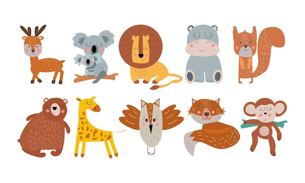 Eine Sammlung von Tieren, darunter ein Koala, ein Koala, ein Bär, ein Bär, ein Bär, ein Bär, ein Bär, ein Bär, ein Bär, ein Bär, a