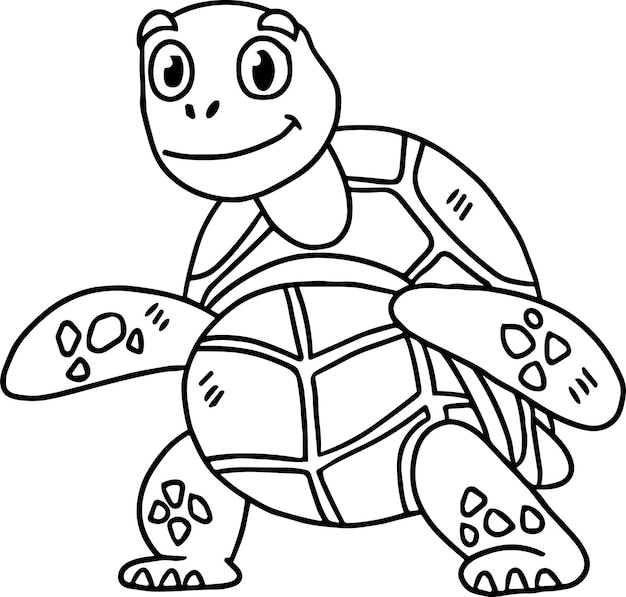 Eine schöne Schildkröte mit einem Lächeln auf dem Gesicht