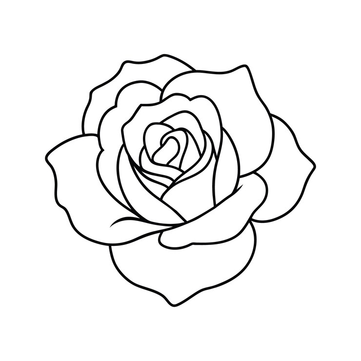 Vektor eine schwarz-weiß-zeichnung einer rosenblume