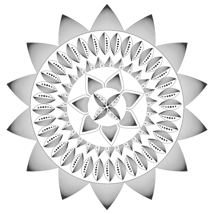 Vektor eine schwarz-weiß-zeichnung eines mandalas