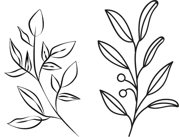 Eine schwarz-weiß-zeichnung von pflanzen mit blättern