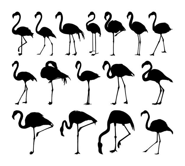 Eine schwarze Silhouette von Flamingos