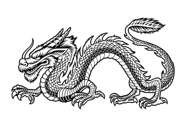 Eine Schwarzweiss-Illustration eines chinesischen Drachen, lokalisiert auf weißem Hintergrund.