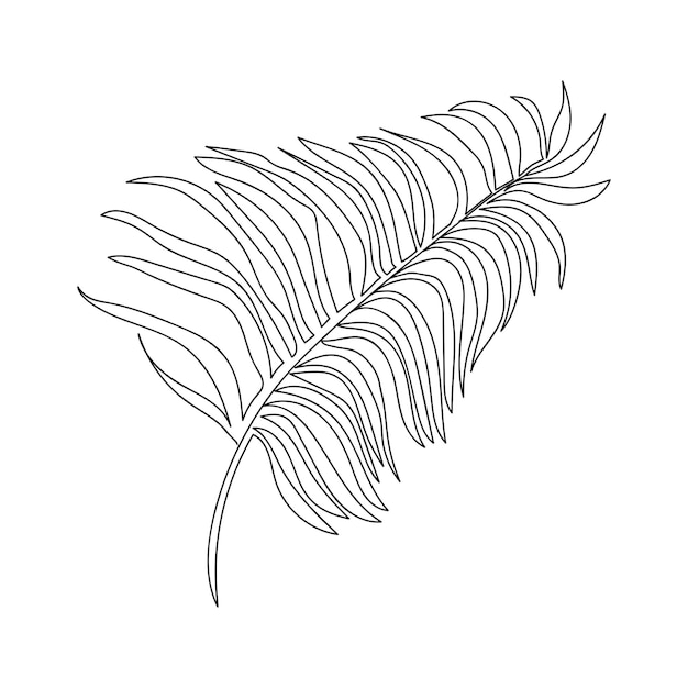 Eine strichzeichnung palmblatt isoliert auf weißem hintergrund.