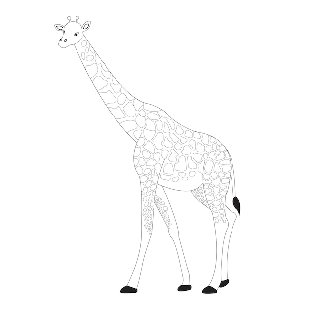 Vektor eine vektorillustration einer niedlichen giraffe in schwarz-weiß-farbe