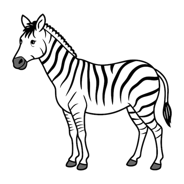 Eine Zebra-Vektorkunstillustration