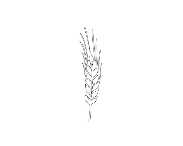 eine Zeichnung einer Pflanze mit einem Zweig, auf dem steht Feather