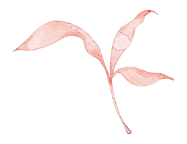 eine Zeichnung eines Blattes mit einem roten Blatt, auf dem steht "Leben"