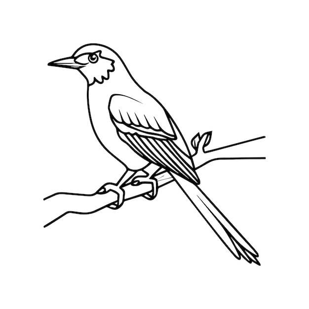Eine Zeichnung eines Vogels auf einem Ast mit einem Vogel darauf