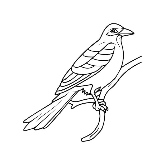 eine Zeichnung eines Vogels auf einem weißen Hintergrund