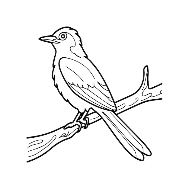 eine Zeichnung eines Vogels auf einem Zweig mit einem schwarzen Umriss
