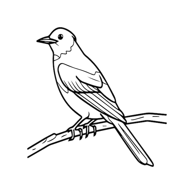 eine Zeichnung eines Vogels auf einem Zweig