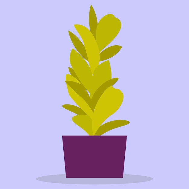 Eine Zimmerpflanze eine grüne Blume in einem lila Topf