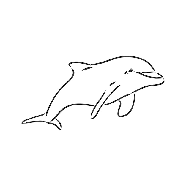 Einfache Delphin-Silhouette. Delphin, Vektorskizze auf weißem Hintergrund