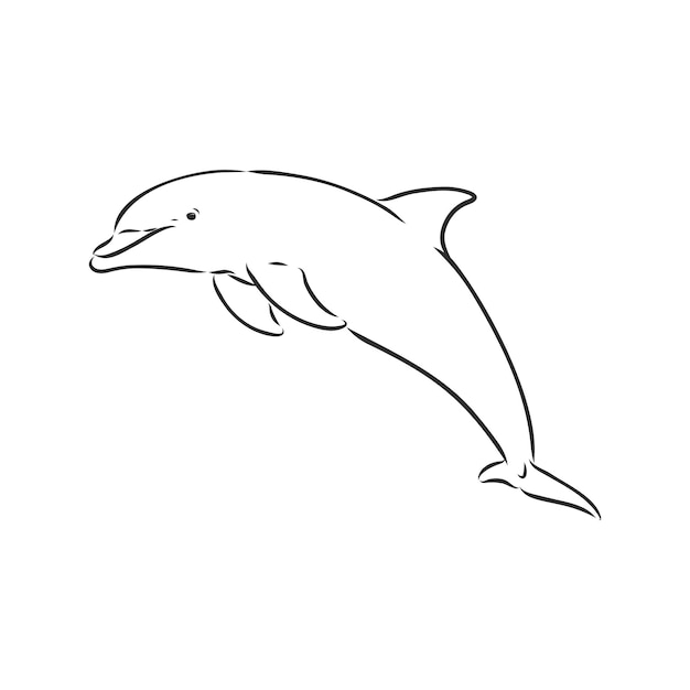 Einfache Delphin-Silhouette. Delphin, Vektorskizze auf weißem Hintergrund