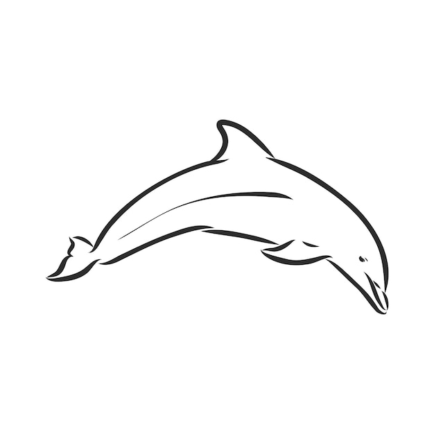 Einfache Delphin-Silhouette. Delphin, Vektorskizze auf weißem Hintergrund