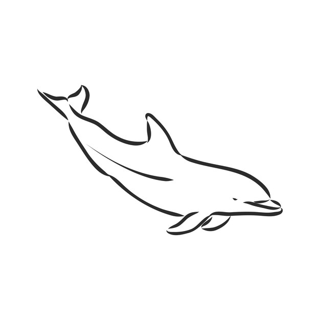 Einfache Delphin-Silhouette. Delphin, Vektorskizze auf weißem Hintergrund