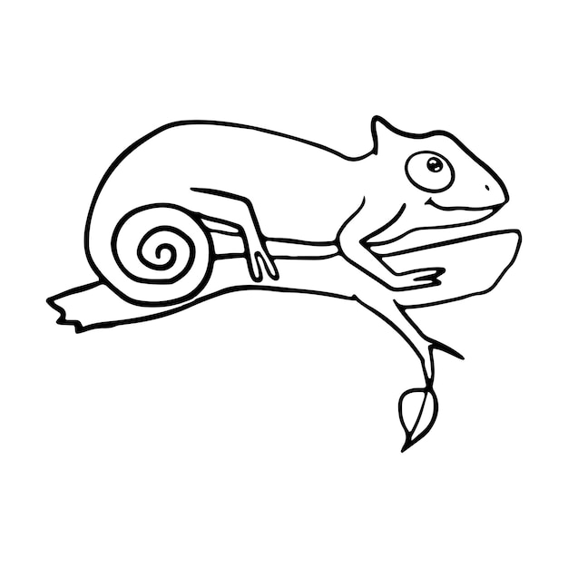 Einfache Illustration eines Chamäleons auf einem Zweig, perfekt für pädagogische Inhalte, Naturblogs oder
