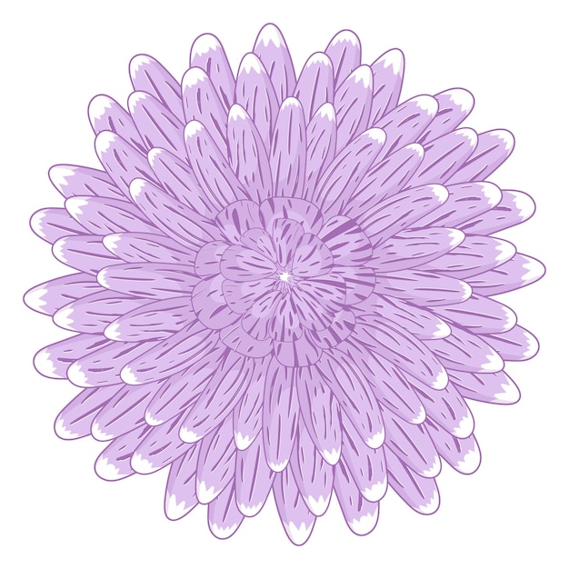 Einfache lila asterblume im flachen stil isoliert auf weißem hintergrund