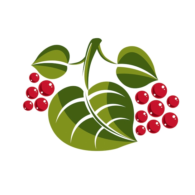 Einfaches grünes laubvektorbaumblatt mit roten samen, stilisiertes naturelement. ökologiesymbol, kann im grafikdesign verwendet werden.