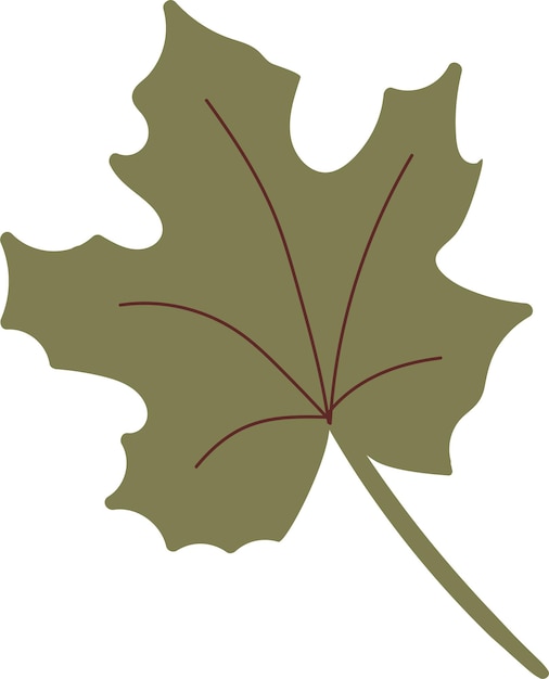 Einfaches herbstblatt in grüner farbe herbstdesign ahornblatt vektor