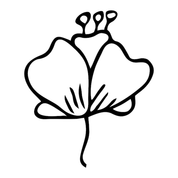 Einfaches vektorblumengekritzel handgezeichnetes umrisssymbol blumenillustration