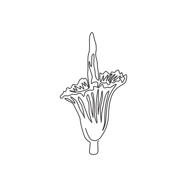 Vektor einzelne einzeilige zeichnung amorphophallus titanum wandkunst dekorativer titan-arum-blumendesign-vektor