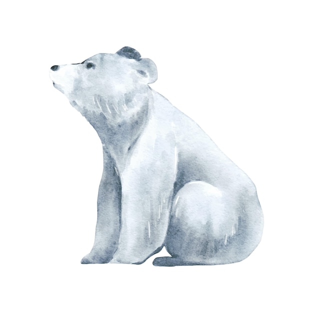 Eisbär aquarell isoliert auf weißem hintergrund abbildung von wildtieren waldbär aquarell zeichnung design vektor