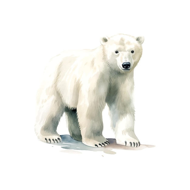 Eisbär Aquarell Kinderbuch Illustrationsstil auf weißem Hintergrund