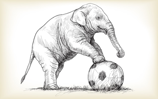 Elefant, der Fußballillustration spielt