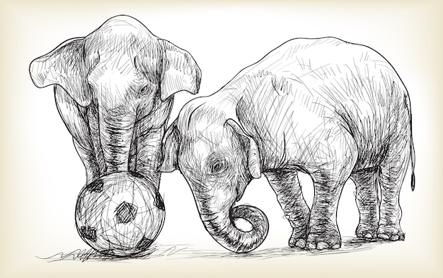 Vektor elefant, der fußballillustration spielt