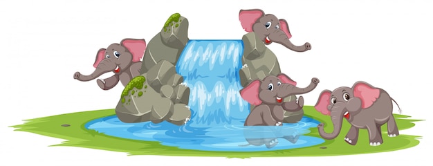 Elefant, der im wasser spielt