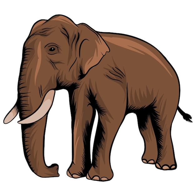 Elefant im cartoon-stil auf weißer hintergrundillustration