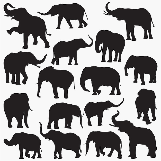 Vektor elefant-silhouetten