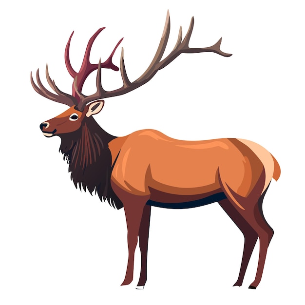 Elegante Elch-Illustration mit majestätischen Gehörnern auf weißem Hintergrund