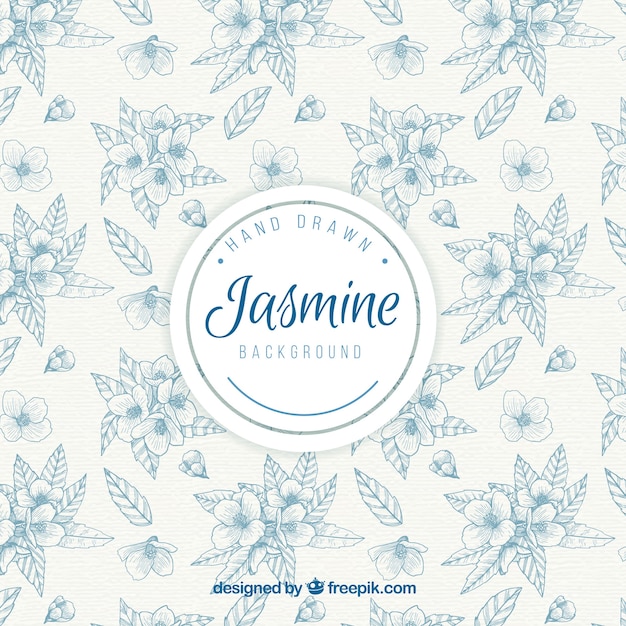 Elegante vintage hand gezeichnet jasmin hintergrund