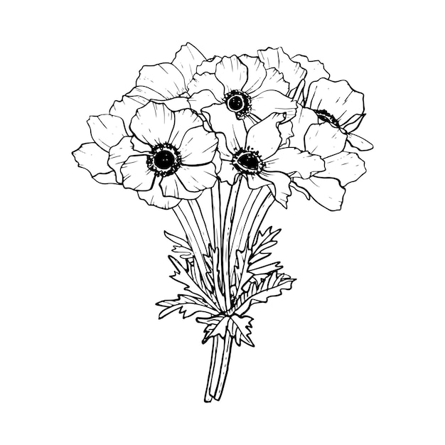 Vektor elegantes schwarz-weißes bouquet aus anemonenblumen vektorillustration feldmack für malbücher