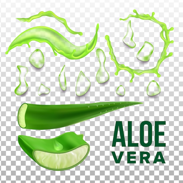 Elemente der öko-aloe vera