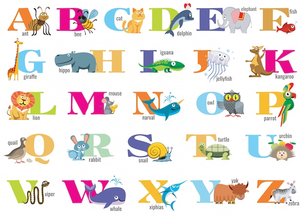 Vektor englisches alphabet für kinder mit niedlichen tieren