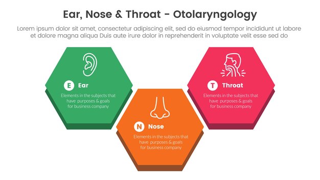 Vektor ent-gesundheits- und krankheitsbehandlungs-infografik 3-punkte-stadium-vorlage mit großer sechseckiger auf- und abformung für die folienpräsentation